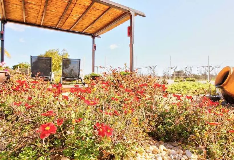 Retkeilymaja Amadeus Villa