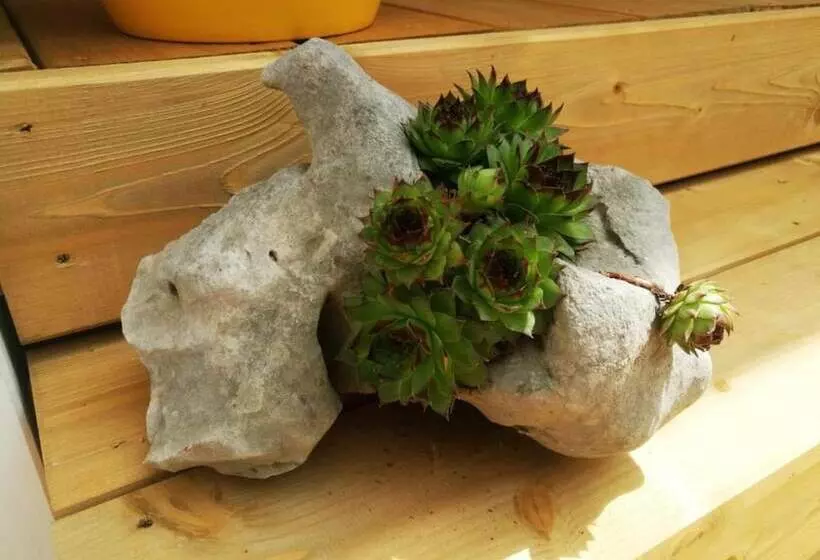 هتل Mobile Homes Bugi