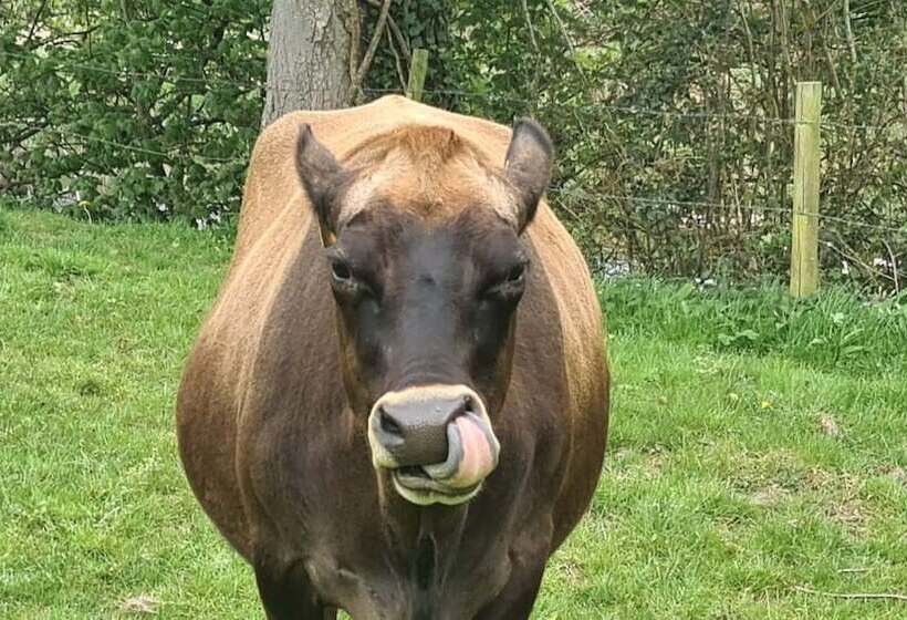 Viking Sleeping Barrel