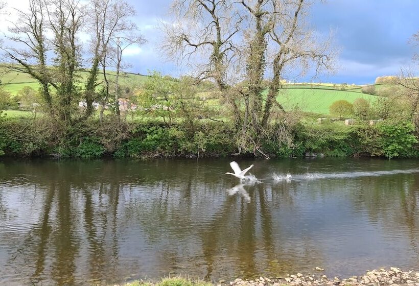 Viking Sleeping Barrel