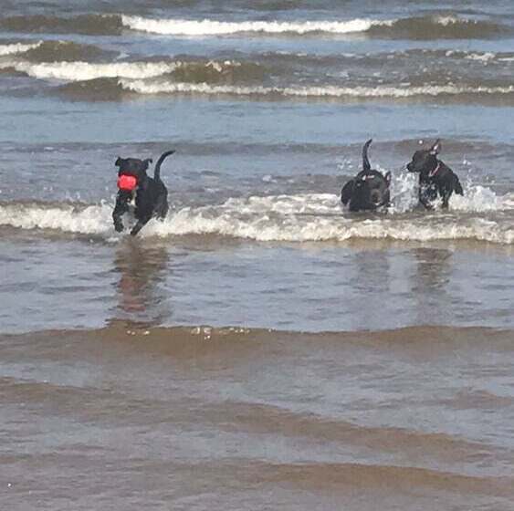 2 Bed Caravan In Mablethorpe Sea Front Location