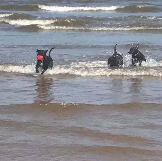 2 Bed Caravan In Mablethorpe Sea Front Location