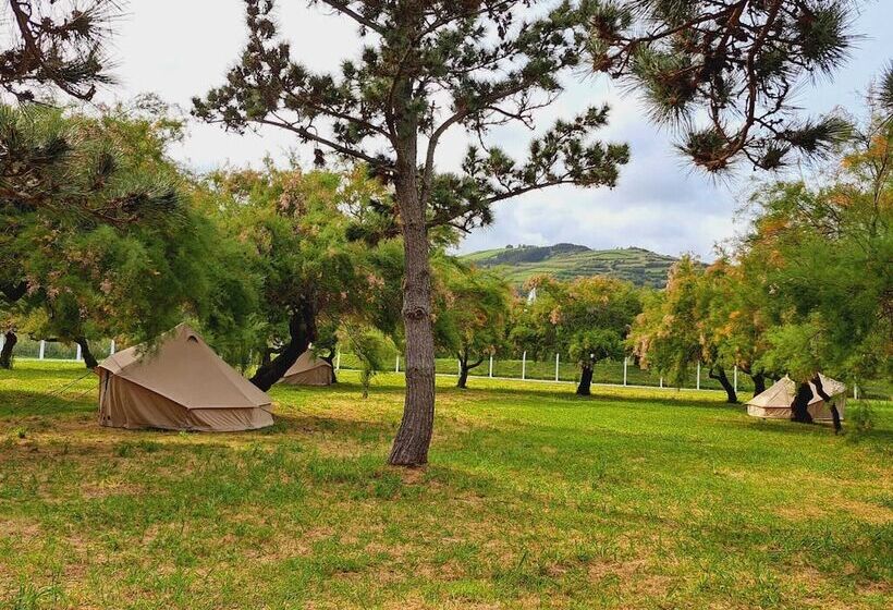 فندق Bearsu Nature Almoxarife