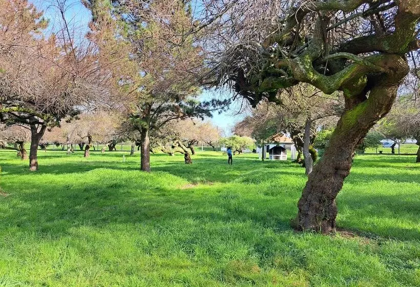 Hotelli Bearsu Nature Almoxarife