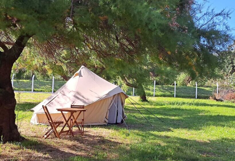 فندق Bearsu Nature Almoxarife