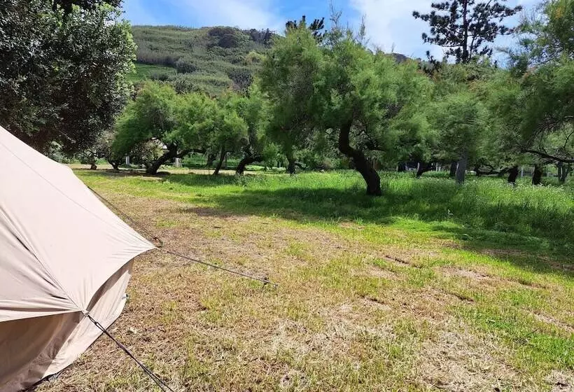 Hotelli Bearsu Nature Almoxarife