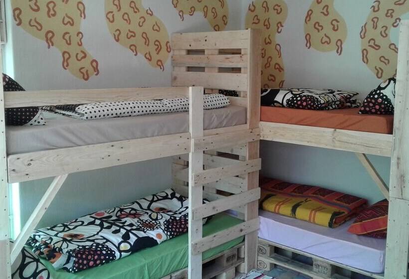 הוסטל Blue Moon Backpackers