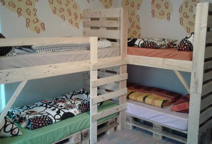 הוסטל Blue Moon Backpackers