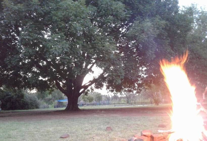 הוסטל Blue Moon Backpackers