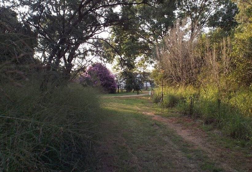 הוסטל Blue Moon Backpackers