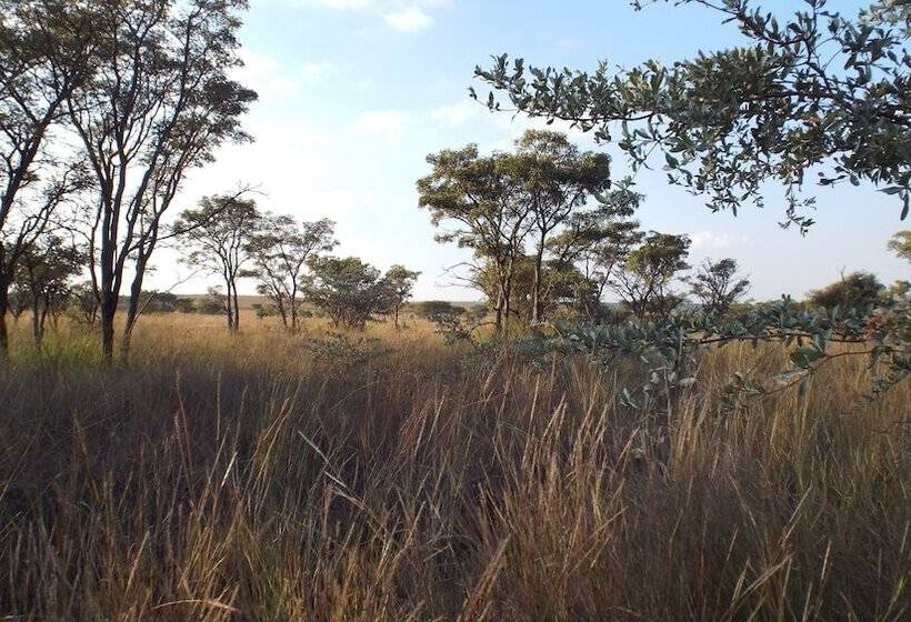 הוסטל Blue Moon Backpackers