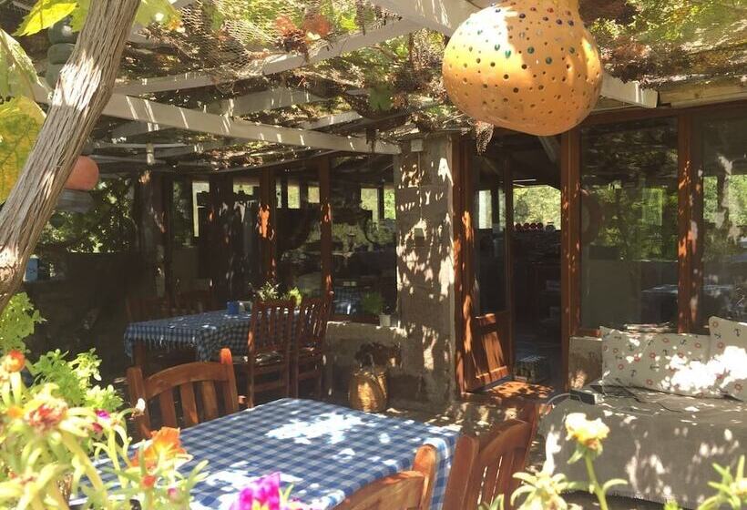 Balikcinin Evi Orkun Motel