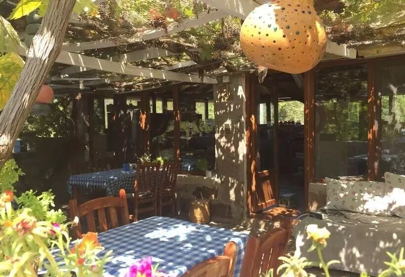 Balikcinin Evi Orkun Motel