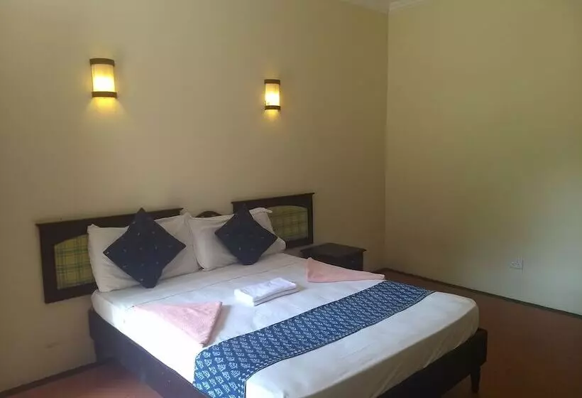 ホテル Blooming Bay - Clifftop Beach Resort