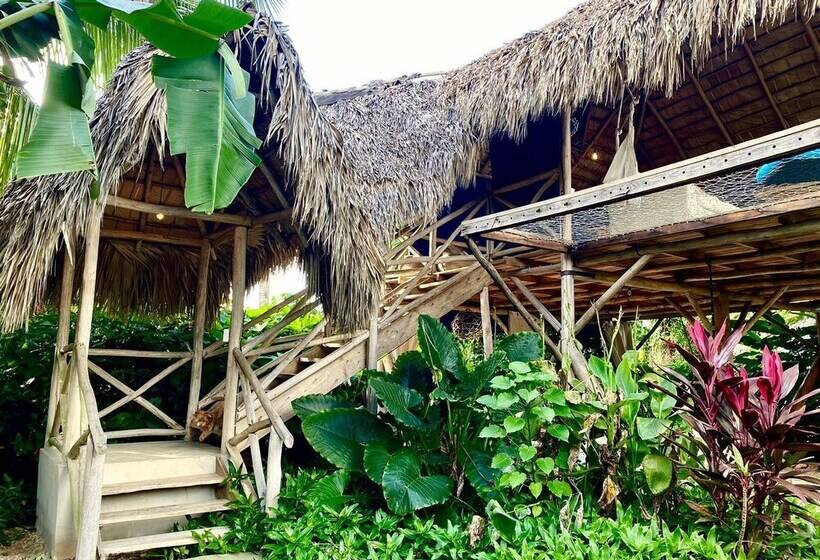 هتل Samana Eco Lodge