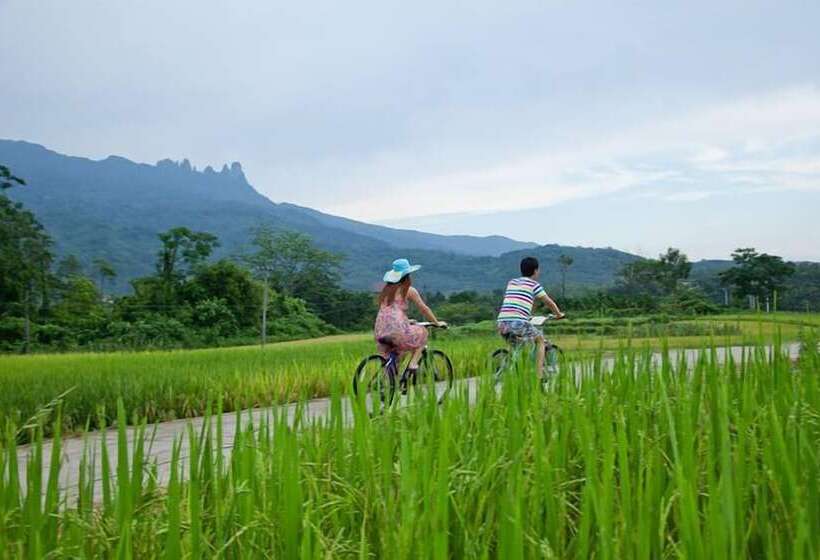 Litchi Garden Rainforest Hot Spring Resort