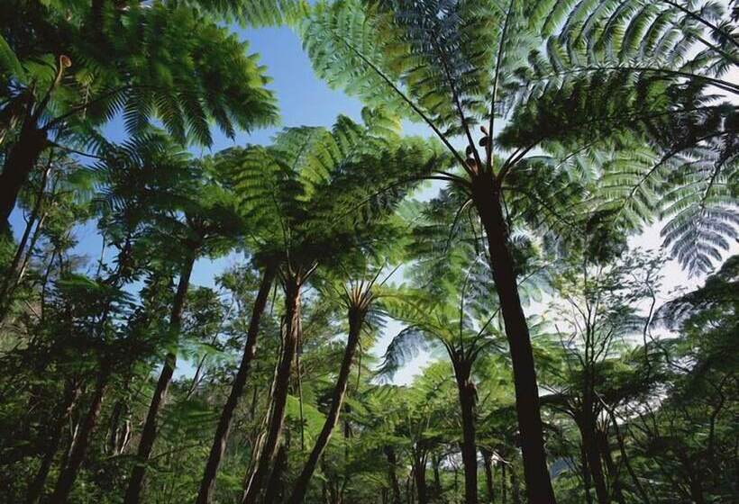 Litchi Garden Rainforest Hot Spring Resort