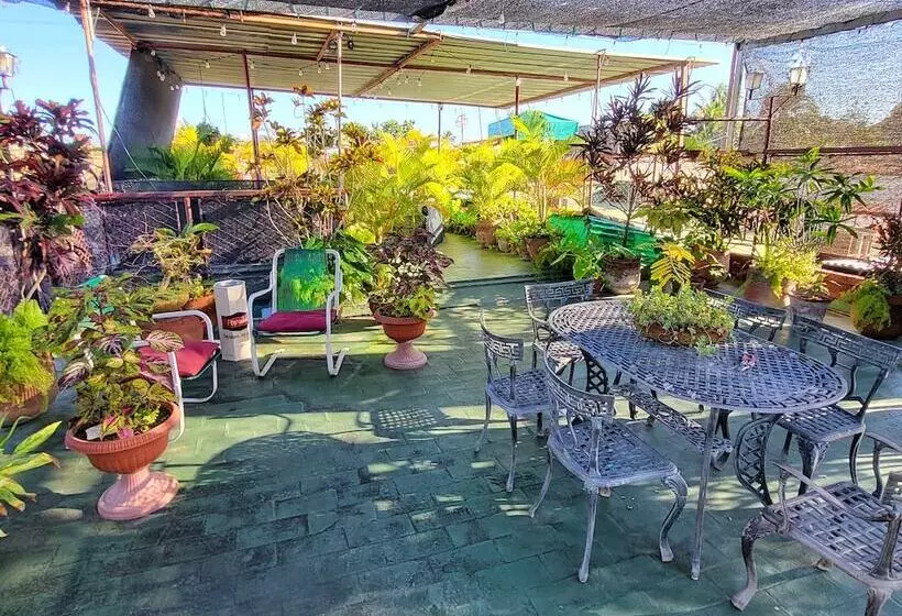 ペンション Hostal Green House