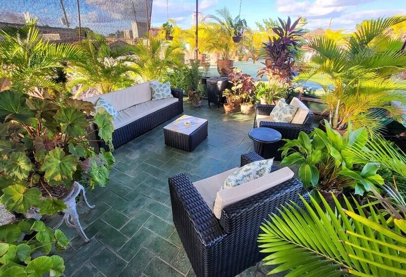 پانسیون Hostal Green House