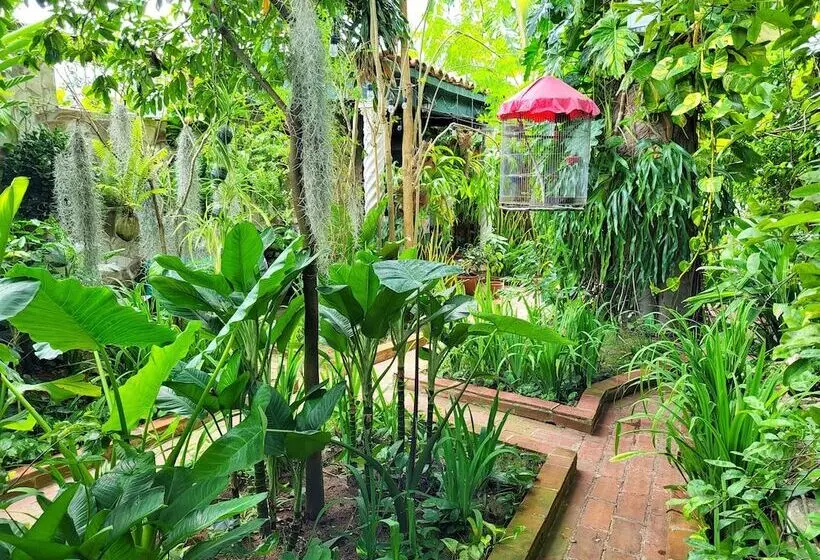 ペンション Hostal Green House