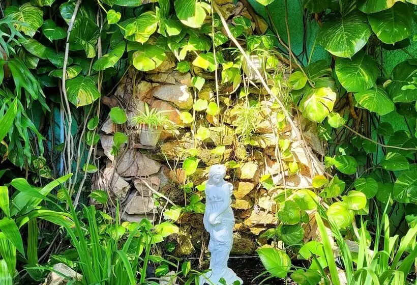 ペンション Hostal Green House