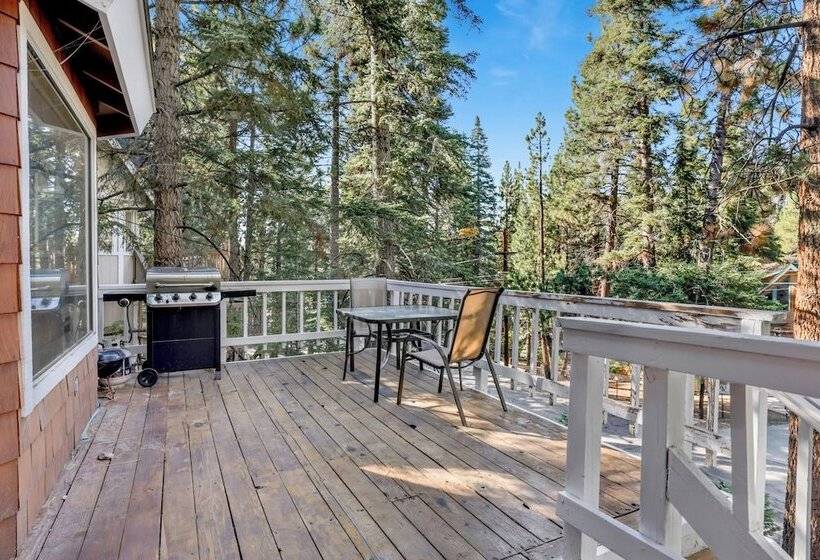 Tree Top Views #2060