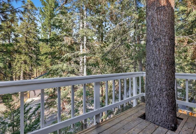 Tree Top Views #2060