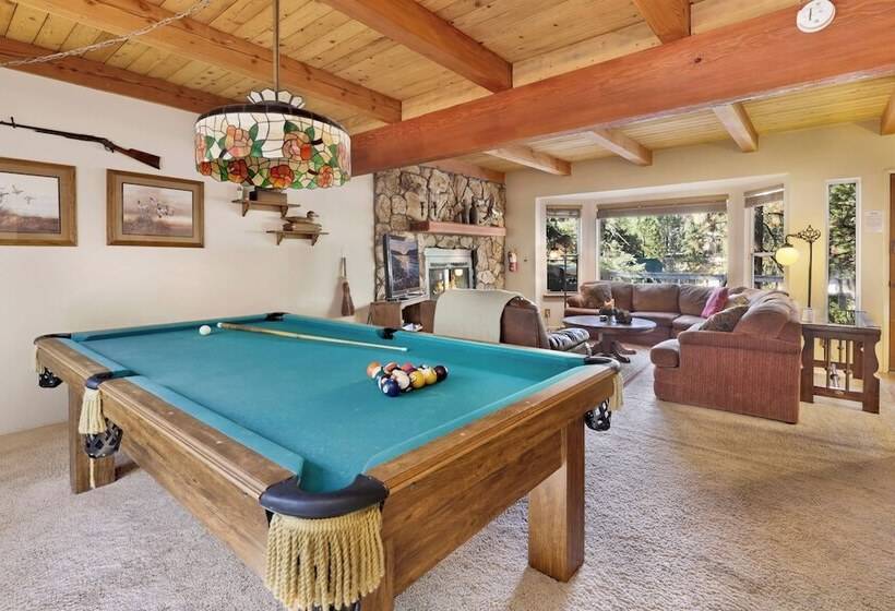 Tree Top Views #2060