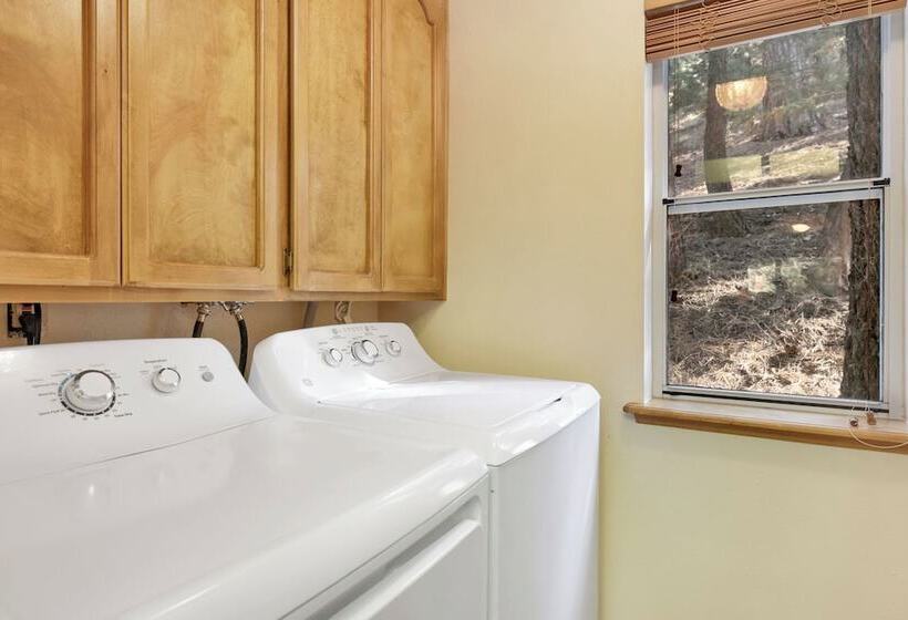 Tree Top Views #2060