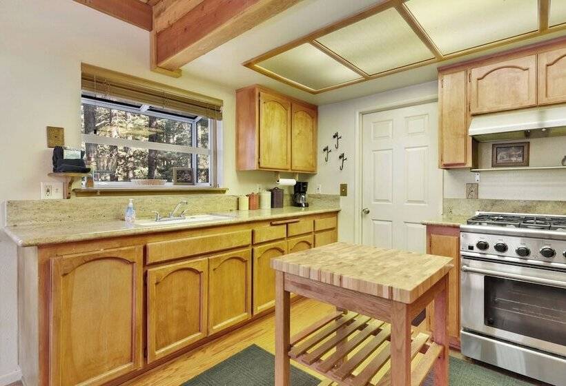 Tree Top Views #2060