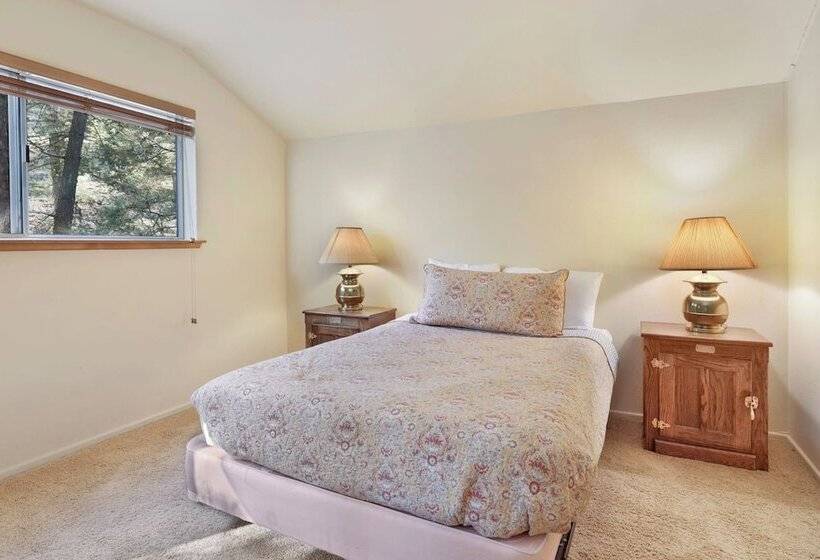 Tree Top Views #2060