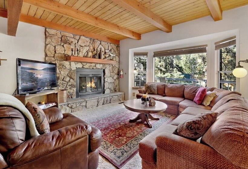 Tree Top Views #2060