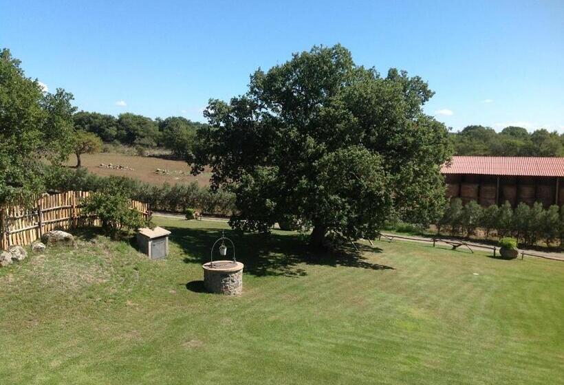 Отель Agriturismo Poggio Della Capanna