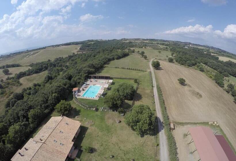 Отель Agriturismo Poggio Della Capanna