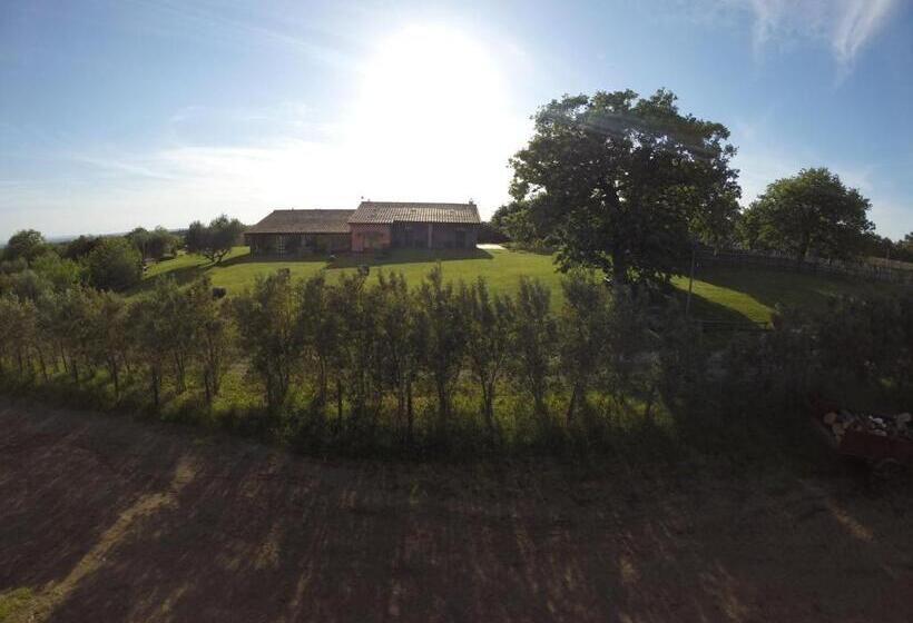 Отель Agriturismo Poggio Della Capanna