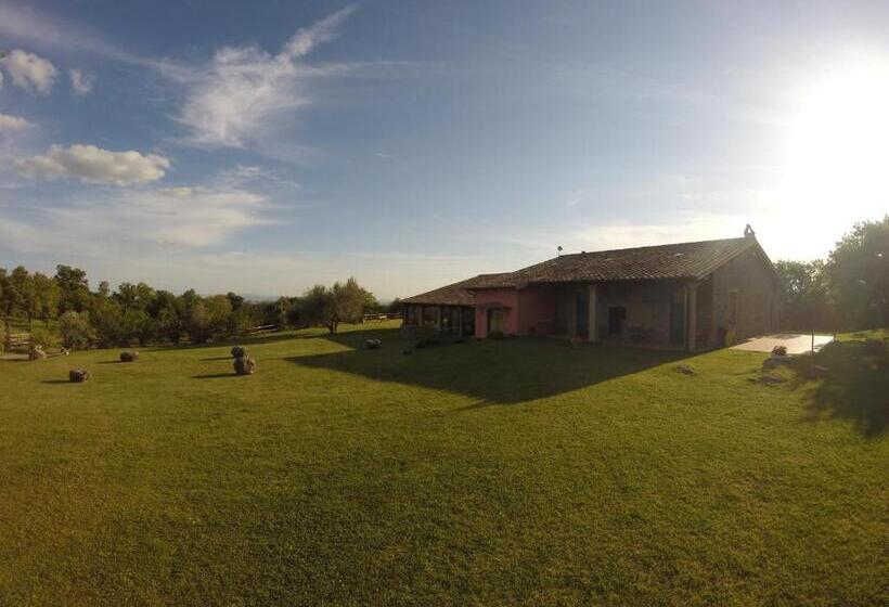 Отель Agriturismo Poggio Della Capanna