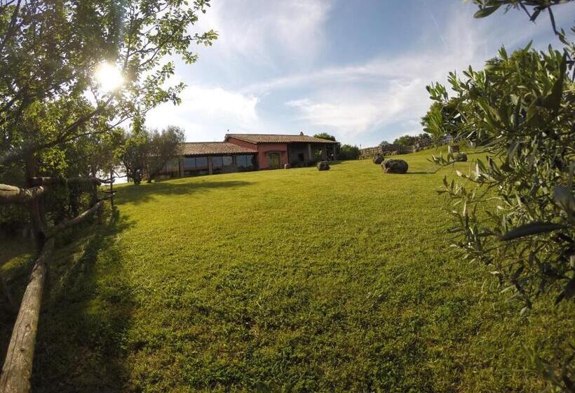 Отель Agriturismo Poggio Della Capanna