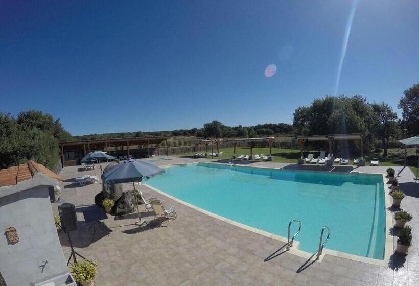 Отель Agriturismo Poggio Della Capanna