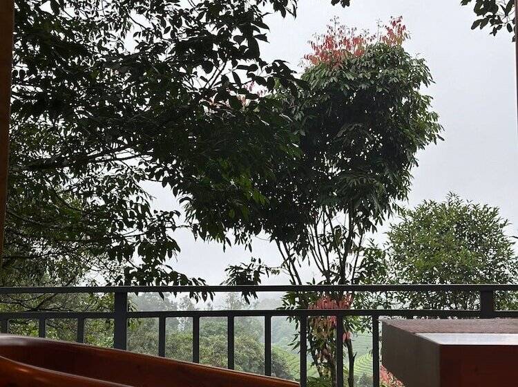 Forestscape Resort Munnar