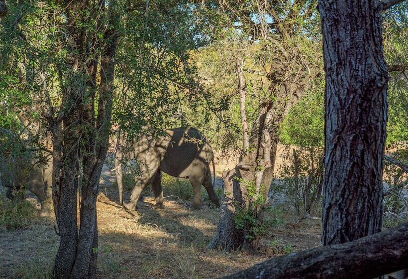 בית מלון כפרי African Retreat Motswari By Newmark