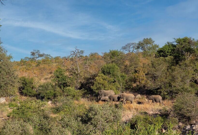 בית מלון כפרי African Retreat Motswari By Newmark