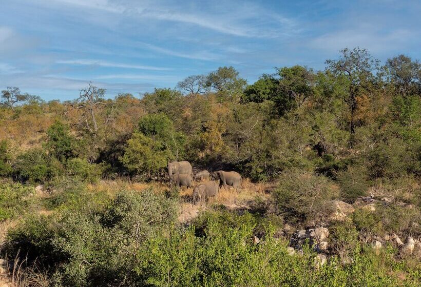 בית מלון כפרי African Retreat Motswari By Newmark