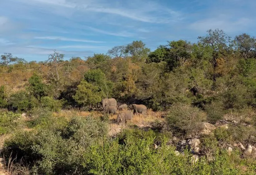 ホテル African Retreat Motswari By Newmark