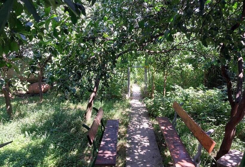 پانسیون Ta Gi