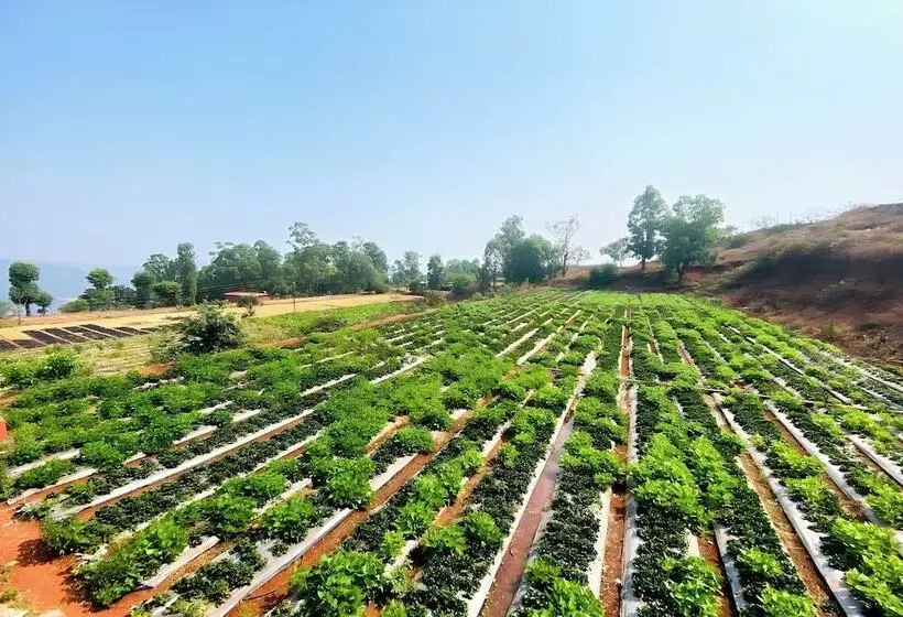 Hotelli Greenland Stay