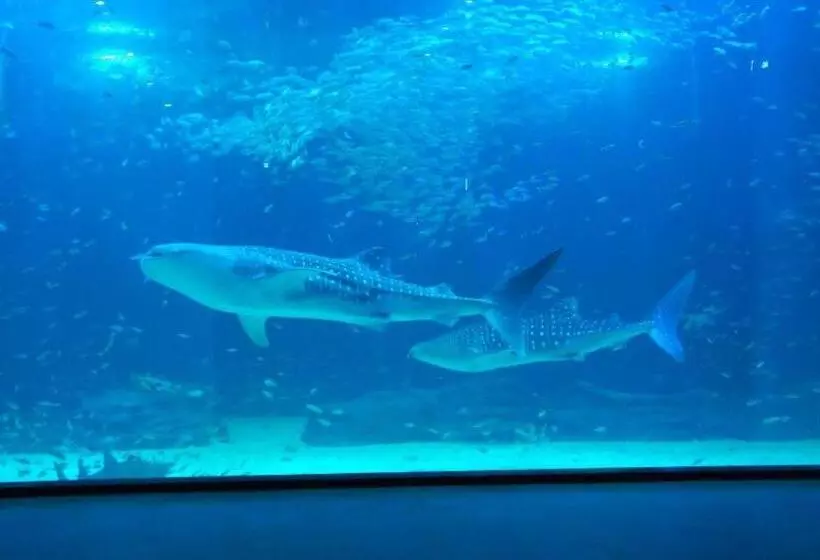 Steigenberger Hotel Sunac Nanchang