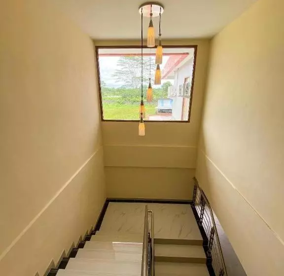 Hotelli Kanguru Timika