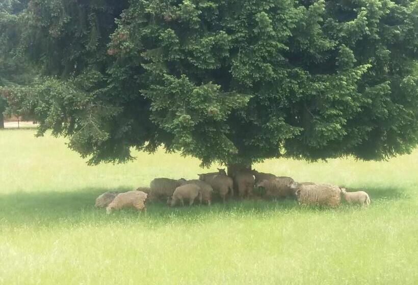 צימר Aux Chambres Du Bourg