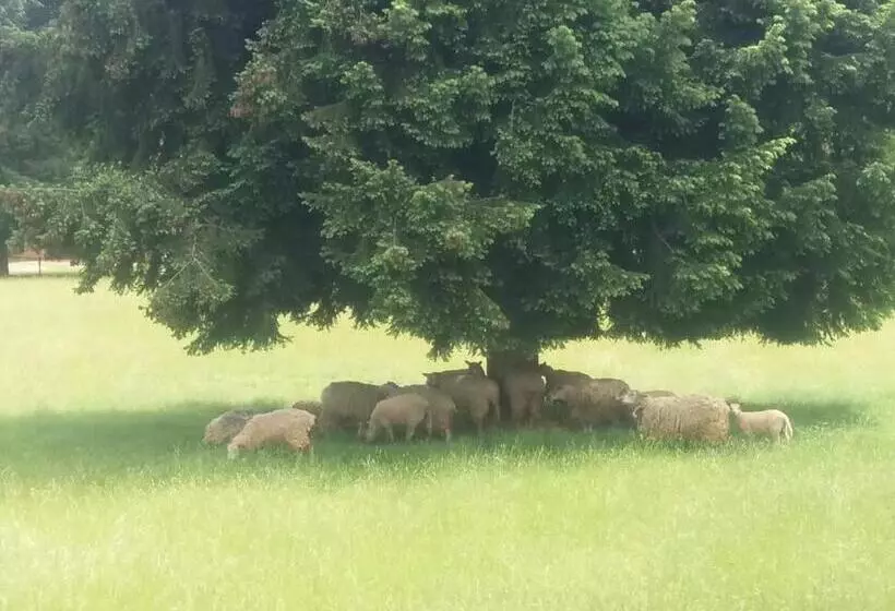 ベッドアンドブレックファースト Aux Chambres Du Bourg