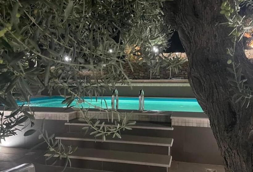 Bed and Breakfast Cocus